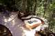 Curved Deck and Fire Pit