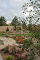 Natural Landscape