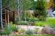naturalistic perennial plantings