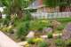 buffer planting