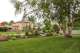 privacy plantings