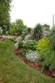 plantings in berm