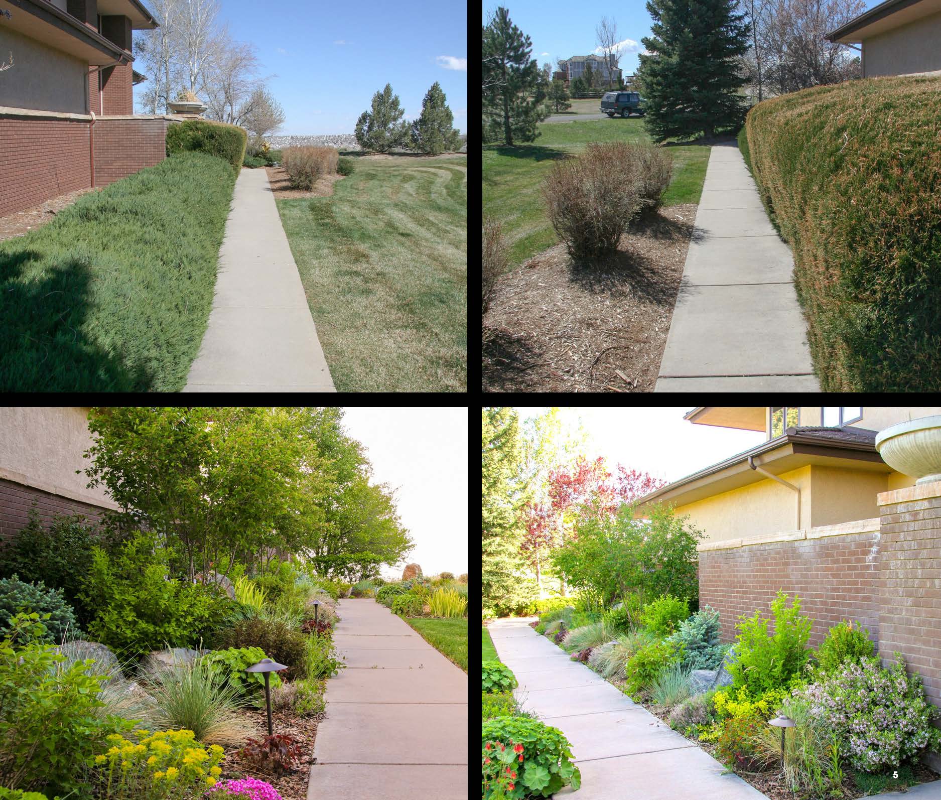 Before and after photo of a landscape project in greater Denver, Colorado.