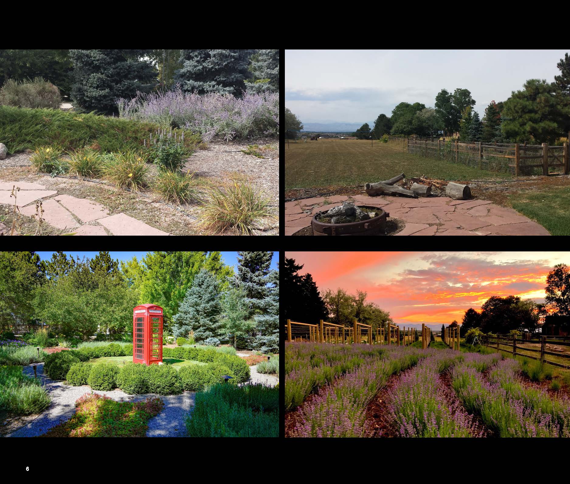 Before and after photo of a landscape project in greater Denver, Colorado.