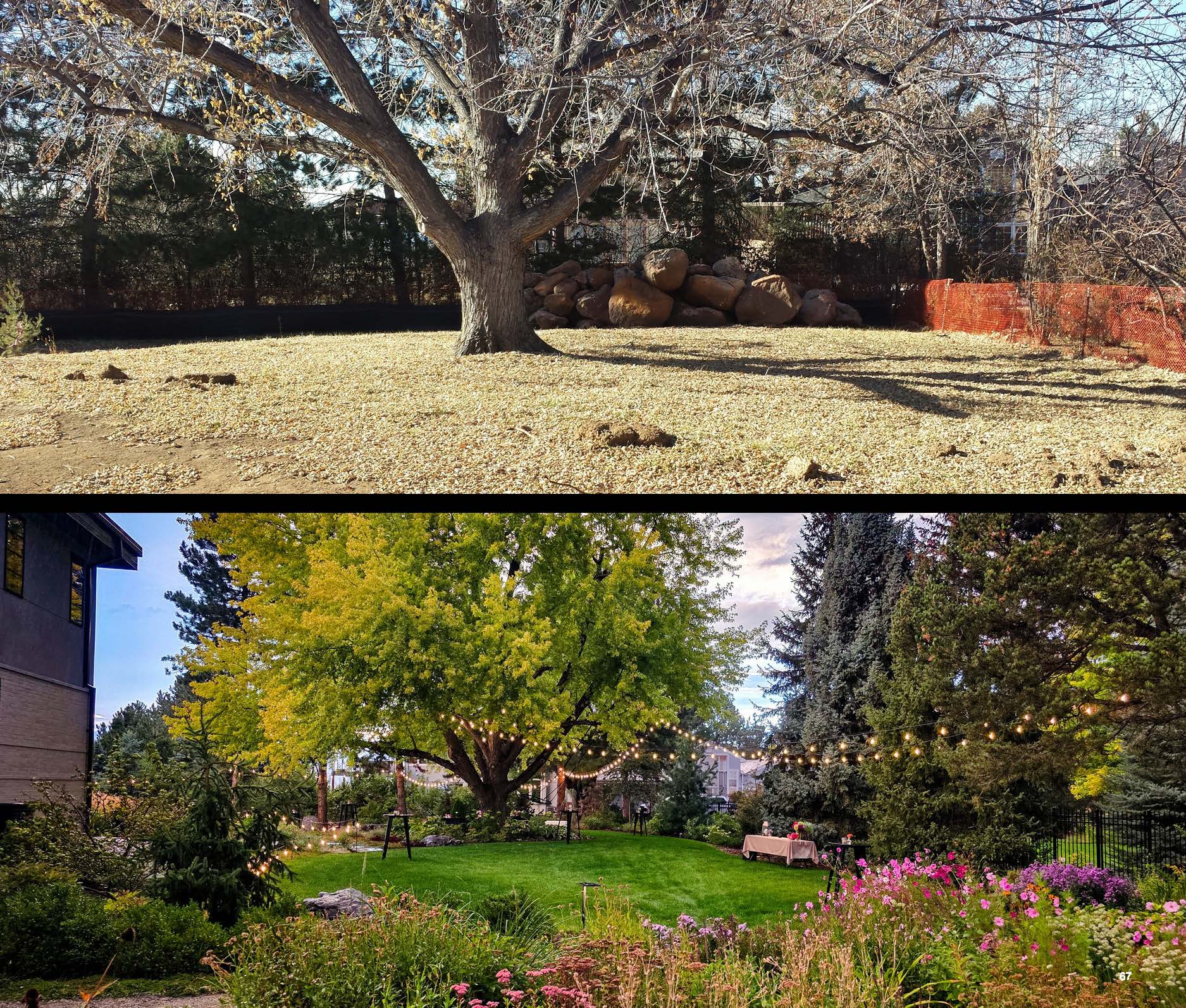 Before and after photo of a landscape project in greater Denver, Colorado.
