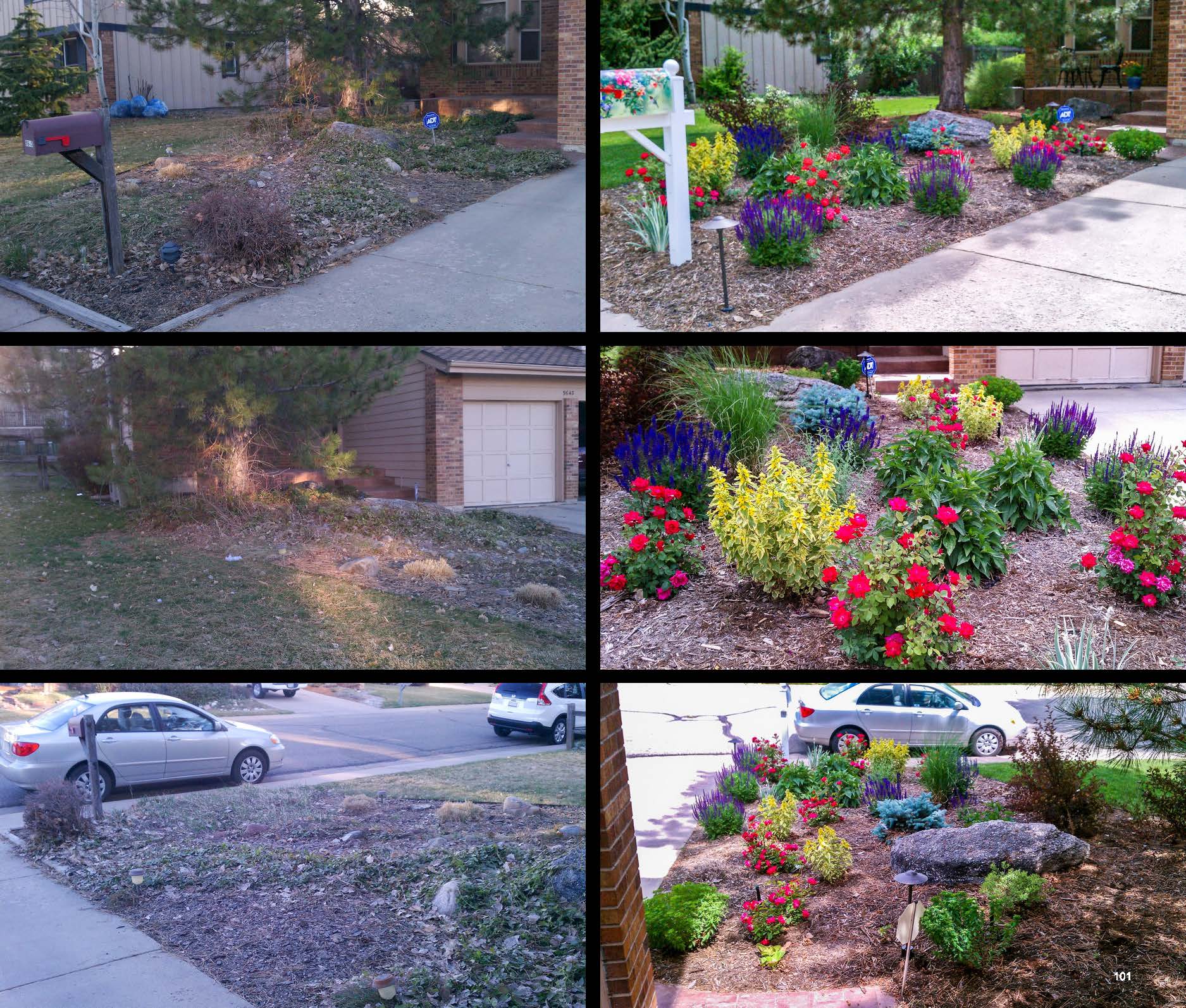 Before and after photo of a landscape project in greater Denver, Colorado.