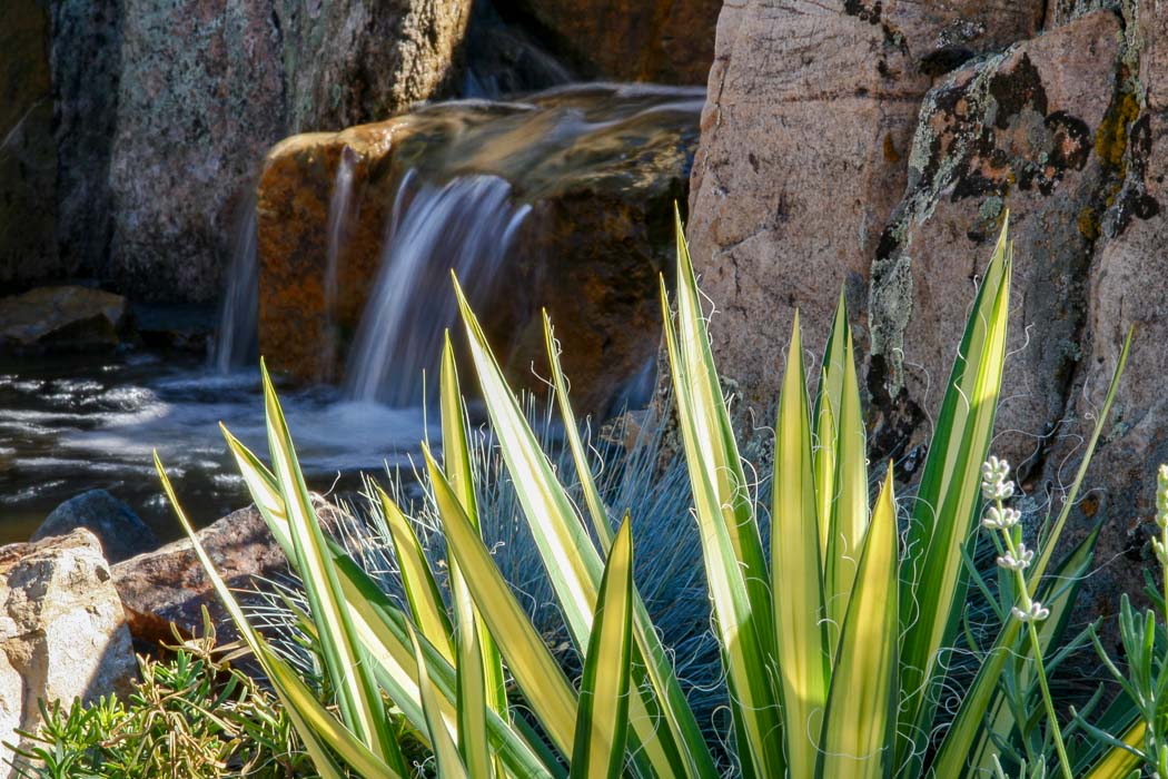 Natural water feature.