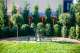 hedge and topiary garden