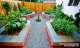 formal raised vegetable garden
