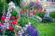 summer plantings