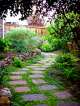 stepping stones with ground cover